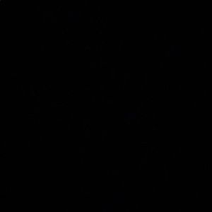 Meet your Posher, Mikayla